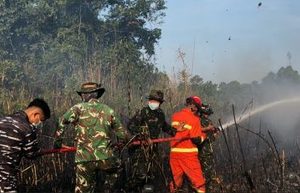 Yonif TP 879/Rangkok Cakti Respons Cepat Padamkan Kebakaran Lahan di Sepaso