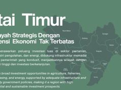 DPMPTSP Petakan Potensi Kecamatan, untuk Buka Peluang Investasi Terarah dan Merata